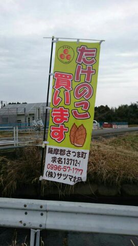 のｂ2016.2.26 のぼり写真.jpg